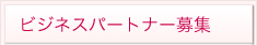ビジネスパートナー募集