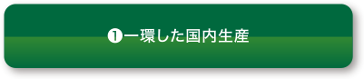 （1）一環した国内生産