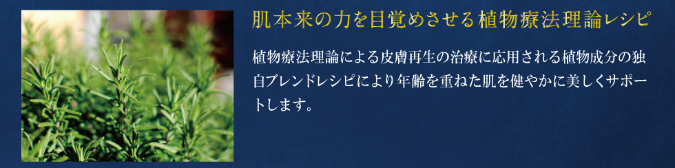 肌本来の力を目覚めさせる植物療法理論レシピ