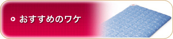 おすすめのワケ